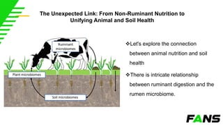 Pasture Management and Fodder Production | PDF
