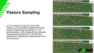 Pasture Sampling Pasture Management and Fodder Production | PDF