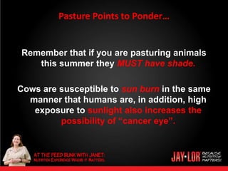 Pasture Points to Ponder…


Remember that if you are pasturing animals
   this summer they MUST have shade.

Cows are susceptible to sun burn in the same
  manner that humans are, in addition, high
   exposure to sunlight also increases the
         possibility of “cancer eye”.
 