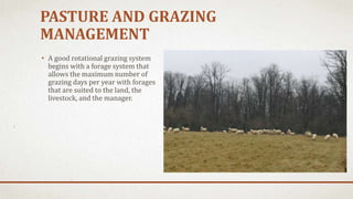 PASTURE AND GRAZING
MANAGEMENT
• A good rotational grazing system
begins with a forage system that
allows the maximum number of
grazing days per year with forages
that are suited to the land, the
livestock, and the manager.
 