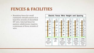 FENCES & FACILITIES
• Boundary fence for small
ruminants should consist of at
least five strands of electrified
HT wire. Internal fence for
pasture subdivisions requires
a minimum of three strands of
wire.
 