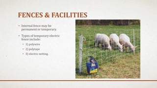 FENCES & FACILITIES
• Internal fence may be
permanent or temporary.
• Types of temporary electric
fence include:
• 1) polywire
• 2) polytape
• 3) electric netting.
 