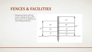 FENCES & FACILITIES
• Temporary fence will not
carry a charge as far as HT
fence, nor is it as effective in
controlling predators.
 