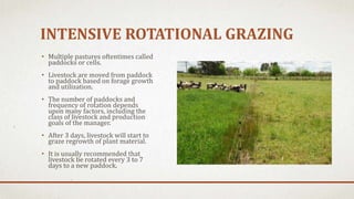 INTENSIVE ROTATIONAL GRAZING
• Multiple pastures oftentimes called
paddocks or cells.
• Livestock are moved from paddock
to paddock based on forage growth
and utilization.
• The number of paddocks and
frequency of rotation depends
upon many factors, including the
class of livestock and production
goals of the manager.
• After 3 days, livestock will start to
graze regrowth of plant material.
• It is usually recommended that
livestock be rotated every 3 to 7
days to a new paddock.
 