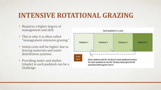 INTENSIVE ROTATIONAL GRAZING
• Requires a higher degree of
management and skill.
• This is why it is often called
"management-intensive grazing."
• Initial costs will be higher due to
fencing materials and water
distribution systems.
• Providing water and shelter
(shade) in each paddock can be a
challenge.
 