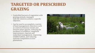 TARGETED OR PRESCRIBED
GRAZING
• Controlled harvest of vegetation with
grazing animals, managed
with the intent to achieve a specific
objective.
• Can be used to accomplish a variety
of land management objectives such
as control of noxious weeds and
invasive plant species, reducing the
incidence of wildfires, rangeland
improvement, riparian and
watershed management, improving
wildlife habitat, and reducing
nutrient competition in tree
plantations.
 