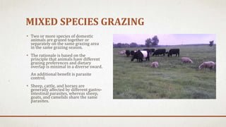 MIXED SPECIES GRAZING
• Two or more species of domestic
animals are grazed together or
separately on the same grazing area
in the same grazing season.
• The rationale is based on the
principle that animals have different
grazing preferences and dietary
overlap is minimal in a diverse sward.
An additional benefit is parasite
control.
• Sheep, cattle, and horses are
generally affected by different gastro-
intestinal parasites, whereas sheep,
goats, and camelids share the same
parasites.
 