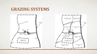 GRAZING SYSTEMS
 