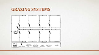GRAZING SYSTEMS
 