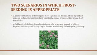TWO SCENARIOS IN WHICH FROST-
SEEDING IS APPROPRIATE:
• A pasture or hayfield is thinning and more legumes are desired. There is plenty of
exposed soil and the existing stand was ideally grazed or mowed down very short
pre-winter.
• A field with a fall-planted small grain (grown for grain, not forage), in which a
legume cover crop and/or hay crop is desired immediately following the grain crop.
 