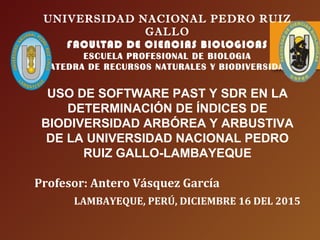 UNIVERSIDAD NACIONAL PEDRO RUIZ
GALLO
FACULTAD DE CIENCIAS BIOLOGICAS
ESCUELA PROFESIONAL DE BIOLOGIA
CATEDRA DE RECURSOS NATURALES Y BIODIVERSIDAD
USO DE SOFTWARE PAST Y SDR EN LA
DETERMINACIÓN DE ÍNDICES DE
BIODIVERSIDAD ARBÓREA Y ARBUSTIVA
DE LA UNIVERSIDAD NACIONAL PEDRO
RUIZ GALLO-LAMBAYEQUE
Profesor: Antero Vásquez García
LAMBAYEQUE, PERÚ, DICIEMBRE 16 DEL 2015
 