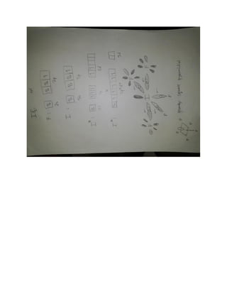 personal chemistry lecture notes