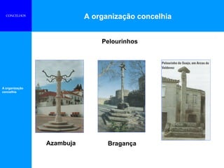 A organização concelhia
A organização
concelhia
CONCELHOS
Pelourinhos
BragançaAzambuja
 