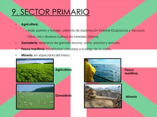 9. SECTOR PRIMARIO
•   Agricultura:

       - Maíz, patata y forrajes, además de explotación forestal (Guipúzcoa y Vizcaya).

       - Olivo, vid y diversos cultivos de cereales (Álava).

•   Ganadería: extensiva de ganado bovino, ovino, porcino y avícola.

•   Pesca marítima: localidades ubicadas a lo largo de la costa.

•   Minería: en especial la del hierro.



                            Agricultura                                  Pesca
                                                                         marítima




                            Ganadería                                     Minería
 