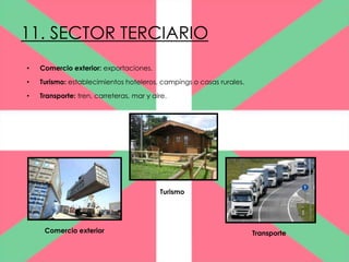 11. SECTOR TERCIARIO
•   Comercio exterior: exportaciones.

•   Turismo: establecimientos hoteleros, campings o casas rurales.

•   Transporte: tren, carreteras, mar y aire.




                                          Turismo




     Comercio exterior                                               Transporte
 