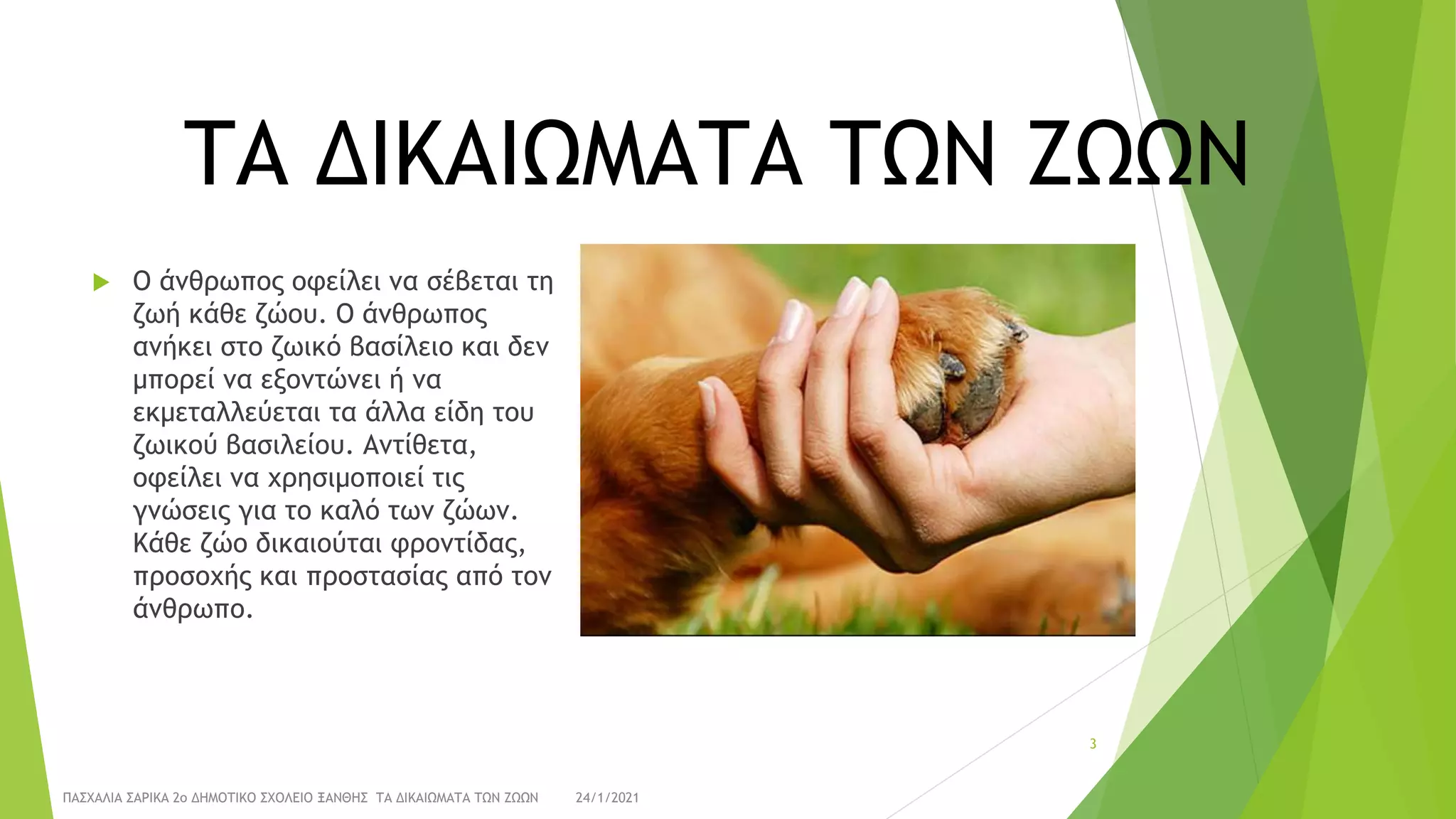 ΤΑ ΔΙΚΑΙΩΜΑΤΑ ΤΩΝ ΖΩΩΝ
 Ο άνθρωπος οφείλει να σέβεται τη
ζωή κάθε ζώου. Ο άνθρωπος
ανήκει στο ζωικό βασίλειο και δεν
μπορεί να εξοντώνει ή να
εκμεταλλεύεται τα άλλα είδη του
ζωικού βασιλείου. Αντίθετα,
οφείλει να χρησιμοποιεί τις
γνώσεις για το καλό των ζώων.
Κάθε ζώο δικαιούται φροντίδας,
προσοχής και προστασίας από τον
άνθρωπο.
24/1/2021
ΠΑΣΧΑΛΙΑ ΣΑΡΙΚΑ 2ο ΔΗΜΟΤΙΚΟ ΣΧΟΛΕΙΟ ΞΑΝΘΗΣ ΤΑ ΔΙΚΑΙΩΜΑΤΑ ΤΩΝ ΖΩΩΝ
3
 