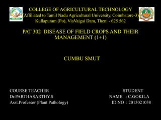 COLLEGE OF AGRICULTURAL TECHNOLOGY
(Affiliated to Tamil Nadu Agricultural University, Coimbatore-3)
Kullapuram (Po), ViaVaigai Dam, Theni - 625 562
PAT 302 DISEASE OF FIELD CROPS AND THEIR
MANAGEMENT (1+1)
CUMBU SMUT
COURSE TEACHER STUDENT
Dr.PARTHASARTHY.S NAME : C.GOKILA
Asst.Professor (Plant Pathology) ID.NO : 2015021038
 