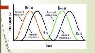 Boom And Bust Cycle In A Nutshell - FourWeekMBA