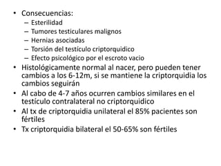 • Consecuencias:
– Esterilidad
– Tumores testiculares malignos
– Hernias asociadas
– Torsión del testículo criptorquidico
– Efecto psicológico por el escroto vacio
• Histológicamente normal al nacer, pero pueden tener
cambios a los 6-12m, si se mantiene la criptorquidia los
cambios seguirán
• Al cabo de 4-7 años ocurren cambios similares en el
testículo contralateral no criptorquidico
• Al tx de criptorquidia unilateral el 85% pacientes son
fértiles
• Tx criptorquidia bilateral el 50-65% son fértiles
 