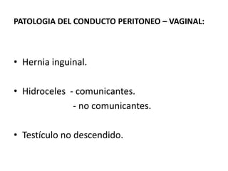 PATOLOGIA DEL CONDUCTO PERITONEO – VAGINAL:
• Hernia inguinal.
• Hidroceles - comunicantes.
- no comunicantes.
• Testículo no descendido.
 