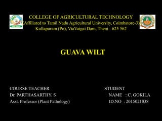 COLLEGE OF AGRICULTURAL TECHNOLOGY
(Affiliated to Tamil Nadu Agricultural University, Coimbatore-3)
Kullapuram (Po), ViaVaigai Dam, Theni - 625 562
GUAVA WILT
COURSE TEACHER STUDENT
Dr. PARTHASARTHY. S NAME : C. GOKILA
Asst. Professor (Plant Pathology) ID.NO : 2015021038
 