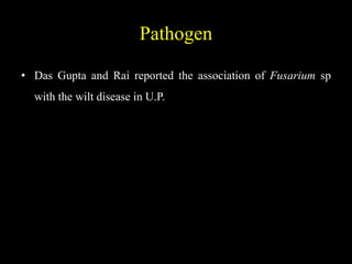Pathogen
• Das Gupta and Rai reported the association of Fusarium sp
with the wilt disease in U.P.
 