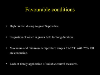 Favourable conditions
• High rainfall during August/ September.
• Stagnation of water in guava field for long duration.
• Maximum and minimum temperature ranges 23-32○C with 76% RH
are conducive.
• Lack of timely application of suitable control measures.
 
