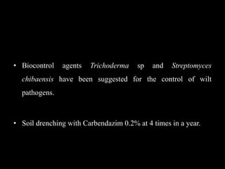 • Biocontrol agents Trichoderma sp and Streptomyces
chibaensis have been suggested for the control of wilt
pathogens.
• Soil drenching with Carbendazim 0.2% at 4 times in a year.
 