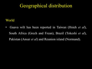 Geographical distribution
World
• Guava wilt has been reported in Taiwan (Hsieh et al),
South Africa (Grech and Frean), Brazil (Tokeshi et al),
Pakistan (Ansar et al) and Reunion island (Normand).
 