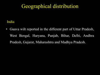 Geographical distribution
India
• Guava wilt reported in the different part of Uttar Pradesh,
West Bengal, Haryana, Punjab, Bihar, Delhi, Andhra
Pradesh, Gujarat, Maharashtra and Madhya Pradesh.
 