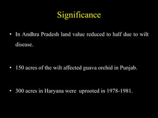Significance
• In Andhra Pradesh land value reduced to half due to wilt
disease.
• 150 acres of the wilt affected guava orchid in Punjab.
• 300 acres in Haryana were uprooted in 1978-1981.
 