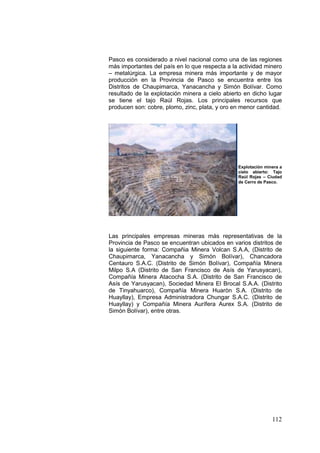 112
Pasco es considerado a nivel nacional como una de las regiones
más importantes del país en lo que respecta a la actividad minero
– metalúrgica. La empresa minera más importante y de mayor
producción en la Provincia de Pasco se encuentra entre los
Distritos de Chaupimarca, Yanacancha y Simón Bolívar. Como
resultado de la explotación minera a cielo abierto en dicho lugar
se tiene el tajo Raúl Rojas. Los principales recursos que
producen son: cobre, plomo, zinc, plata, y oro en menor cantidad.
Las principales empresas mineras más representativas de la
Provincia de Pasco se encuentran ubicados en varios distritos de
la siguiente forma: Compañia Minera Volcan S.A.A, (Distrito de
Chaupimarca, Yanacancha y Simón Bolívar), Chancadora
Centauro S.A.C. (Distrito de Simón Bolívar), Compañía Minera
Milpo S.A (Distrito de San Francisco de Asís de Yarusyacan),
Compañía Minera Atacocha S.A. (Distrito de San Francisco de
Asís de Yarusyacan), Sociedad Minera El Brocal S.A.A. (Distrito
de Tinyahuarco), Compañía Minera Huaròn S.A. (Distrito de
Huayllay), Empresa Administradora Chungar S.A.C. (Distrito de
Huayllay) y Compañía Minera Aurífera Aurex S.A. (Distrito de
Simón Bolívar), entre otras.
Explotación minera a
cielo abierto: Tajo
Raúl Rojas – Ciudad
de Cerro de Pasco.
 
