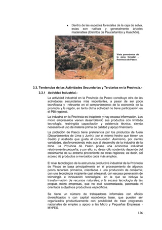 126
• Dentro de las especies forestales de la ceja de selva,
estas son nativas y generalmente árboles
maderables (Distritos de Paucartambo y Huachón).
3.3. Tendencias de las Actividades Secundarias y Terciarias en la Provincia.-
3.3.1 Actividad Industrial.-
La actividad industrial en la Provincia de Pasco constituye otra de las
actividades secundarias más importantes, a pesar de ser poco
tecnificada y relevante en el comportamiento de la economía de la
provincia y la región, en tanto dicha actividad no tiene participación en
el PBI regional.
La industria en la Provincia es incipiente y hay escasa información. Los
micro empresarios vienen desarrollando sus productos con limitada
tecnología, restringida capacitación y asistencia técnica, siendo
necesario el uso de materia prima de calidad y apoyo financiero.
La población de Pasco tiene preferencia por los productos de fuera
(Departamentos de Lima y Junín), por el mismo hecho que tienen un
diseño y acabado que gusta al consumidor. Asimismo, por ciertas
vanidades, desfavoreciendo más aun al desarrollo de la industria de la
zona. La Provincia de Pasco posee una economía industrial
relativamente pequeña; y por ello, su desarrollo sostenido depende del
crecimiento de su entorno proveniente de otras regiones; es decir, del
acceso de productos a mercados cada más amplios.
El nivel tecnológico de la estructura productiva industrial de la Provincia
de Pasco se basa principalmente en el procesamiento de algunos
pocos recursos primarios, orientados a una producción de consumo;
con una tecnología incipiente casi artesanal, con escasa generación de
tecnología e innovación tecnológica, en la que se incluya la
transformación de recursos naturales; y la escasa tecnología de las
propias micro empresas, que no está sistematizada, patentada ni
orientada a objetivos productivos específicos.
Se tiene un número de trabajadores informales con oficios
diversificados y con capital económico base, que pueden ser
organizados productivamente con posibilidad de traer programas
nacionales de empleo y apoyo a las Micro y Pequeñas Empresas -
MYPES.
Vista panorámica de
la zona forestal –
Provincia de Pasco.
 