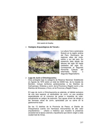 257
Arte rupestre de Huayllay.
Vestigios Arqueológicos de Yarush.-
La cultura Yaro o preincaica
floreció en la región andina
del Perú. Dominaron las
regiones altas del norte,
centro y sur del país. Su
presencia data desde los
albores del siglo XII hasta
mediados del siglo XV.
Corresponde al Segundo
Horizonte Cultural, del
Intermedio Tardío o
Segundo Regionalismo.
Lago de Junín o Chinchaycocha.-
Área protegida bajo la categoría de Reserva Nacional. Establecida
en Agosto de 1974 sobre un total de 53000 has. de la meseta de
Bombón, incluye territorios pertenecientes a los Distritos de
Carhuamayo, Ondores y Junín, de la Provincia y Regiòn Junín; y los
Distritos de Ninacaca y Vicco, en la Provincia y Región Pasco.
El Lago de Junín o Chinchaycocha es además, el hábitat exclusivo
de una rara especie: el zambullidor de Junín, un ave acuática
especializada en el consumo de peces e impedida de volar,
actualmente en peligro de extinción. Sus aguas sirven de refugio a
las famosas ranas de Junín, apreciadas por su carne en la
gastronomía local.
De los 13 distritos de la Provincia de Pasco, el Distrito de
Chaupimarca cuenta con hermosos monumentos de alto valor
arquitectónico - urbano e histórico que muestra la presencia
ancestral de la época colonial y republicana que dieron origen a esta
ciudad real de minas.
 