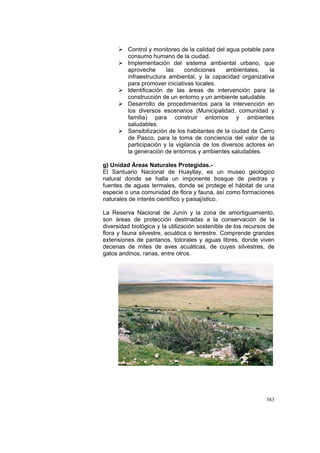 383
Control y monitoreo de la calidad del agua potable para
consumo humano de la ciudad.
Implementación del sistema ambiental urbano, que
aproveche las condiciones ambientales, la
infraestructura ambiental, y la capacidad organizativa
para promover iniciativas locales.
Identificación de las áreas de intervención para la
construcción de un entorno y un ambiente saludable.
Desarrollo de procedimientos para la intervención en
los diversos escenarios (Municipalidad, comunidad y
familia) para construir entornos y ambientes
saludables.
Sensibilización de los habitantes de la ciudad de Cerro
de Pasco, para la toma de conciencia del valor de la
participación y la vigilancia de los diversos actores en
la generación de entornos y ambientes saludables.
g) Unidad Áreas Naturales Protegidas.-
El Santuario Nacional de Huayllay, es un museo geológico
natural donde se halla un imponente bosque de piedras y
fuentes de aguas termales, donde se protege el hábitat de una
especie o una comunidad de flora y fauna, así como formaciones
naturales de interés científico y paisajístico.
La Reserva Nacional de Junín y la zona de amortiguamiento,
son áreas de protección destinadas a la conservación de la
diversidad biológica y la utilización sostenible de los recursos de
flora y fauna silvestre, acuática o terrestre. Comprende grandes
extensiones de pantanos, totorales y aguas libres, donde viven
decenas de miles de aves acuáticas, de cuyes silvestres, de
gatos andinos, ranas, entre otros.
 