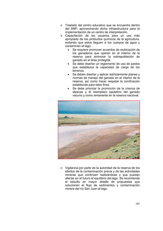 385
Traslado del centro educativo que se encuentra dentro
del ANP; aprovechando dicha infraestructura para la
implementación de un centro de interpretación.
Capacitación de los usuarios para un uso más
apropiado de los productos químicos de la agricultura,
evitando que estos lleguen a los cuerpos de agua y
contaminen el lago:
• Se requiere promover acuerdos de reubicación de
los ganaderos que operan en el interior de la
reserva para aminorar la sobrepoblación de
ganado en el área protegida.
• Se debe diseñar un reglamento de uso de pastos
que establezca la capacidad de carga de los
terrenos.
• Se deben diseñar y aplicar estrictamente planes y
normas de manejo del ganado en el interior de la
reserva, así como hacer respetar la zonificación
establecida para tales fines.
• Se debe priorizar la promoción de la crianza de
alpacas y el reemplazo paulatino del ganado
vacuno y ovino remanente en la reserva nacional.
Vigilancia por parte de la autoridad de la reserva de los
efectos de la contaminación previa y de las actividades
mineras que continúen realizándose y que puedan
afectar en el futuro el equilibrio del lago. Se recomienda
el estudio en mayor detalle de propuestas que
solucionen el flujo de sedimentos y contaminación
minera del río San Juan al lago.
 