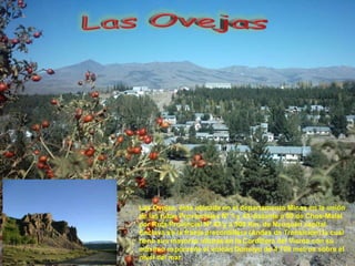 Las Ovejas, ésta ubicada en el departamento Minas en la unión
de las rutas Provinciales Nº 1 y 43 distante a 90 de Chos-Malal
por Ruta Provincial Nº 43 y a 500 Km. de Neuquén capital.
Enclava en la franja precordillera (Andes de Transición) la cual
tiene sus mayores alturas en la Cordillera del Viento con su
máximo exponente el volcán Domuyo de 4,709 metros sobre el
nivel del mar.
 