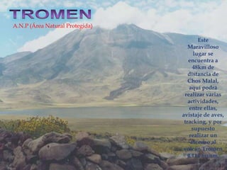 A.N.P (Área Natural Protegida)

                                         Este
                                    Maravilloso
                                       lugar se
                                    encuentra a
                                      48km de
                                    distancia de
                                    Chos Malal,
                                    aquí podrá
                                  realizar varias
                                    actividades,
                                    entre ellas,
                                 avistaje de aves,
                                  tracking, y por
                                      supuesto
                                     realizar un
                                     ascenso al
                                  volcán Tromen
                                   4.114 msnm.
 