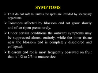SYMPTOMS
 Fruit do not soft rot unless the spots are invaded by secondary
organisms.
 Tomatoes affected by blossom end rot grow slowly
and often ripen prematurely.
 Under certain conditions the outward symptoms may
be suppressed almost entirely, while the inner tissue
near the blossom end is completely discolored and
collapsed.
 Blossom end rot is most frequently observed on fruit
that is 1/2 to 2/3 its mature size.
 