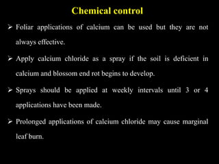 Chemical control
 Foliar applications of calcium can be used but they are not
always effective.
 Apply calcium chloride as a spray if the soil is deficient in
calcium and blossom end rot begins to develop.
 Sprays should be applied at weekly intervals until 3 or 4
applications have been made.
 Prolonged applications of calcium chloride may cause marginal
leaf burn.
 