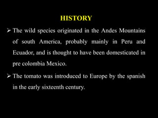 HISTORY
 The wild species originated in the Andes Mountains
of south America, probably mainly in Peru and
Ecuador, and is thought to have been domesticated in
pre colombia Mexico.
 The tomato was introduced to Europe by the spanish
in the early sixteenth century.
 