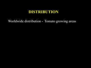 DISTRIBUTION
Worldwide distribution - Tomato growing areas
 
