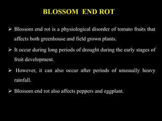 BLOSSOM END ROT
 Blossom end rot is a physiological disorder of tomato fruits that
affects both greenhouse and field grown plants.
 It occur during long periods of drought during the early stages of
fruit development.
 However, it can also occur after periods of unusually heavy
rainfall.
 Blossom end rot also affects peppers and eggplant.
 