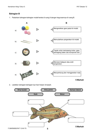 Kemahiran Hidup Tahun 5 PAT Oktober 12
Bahagian B
1. Padankan bahagian-bahagian model kereta di ruang A dengan kegunaannya di ruang B.
a)
b)
c)
d)
e)
2. Labelkan bahagian-bahagian luar ikan hiasan di bawah.
F:BARSKBGPAT 12 KH T5 5
5 Markah
5 Markah
A
A B
Mengerakkan gear pada kit model.
Memudahkan pergerakan kit model.
Tapak untuk memasang motor, gear,
pemegang bateri dan komponen lain.
Menukar kelajuan atau arah
pergerakan.
Menyambung dan menggerakan roda.
Sirip kaudal Sirip pelvik Garisan lateral
Sisik Mulut
b)
e)
d)
a)
c)
 