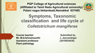Symptoms, Taxonomic
classification and life cycle of
Colletotrichum mangiferae
Submitted by
J. Jeevambigai
(2019024036)
Course teacher
Mr. M.krishnamoorthi
Assistant professor
Plant pathology
PGP College of Agricultural sciences
(Affiliated to Tamil Nadu Agricultural university)
Palani nagar,Vettambadi,Namakkal 637405
 