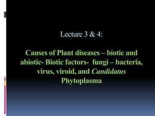 Lecture 3 & 4:
Causes of Plant diseases – biotic and
abiotic- Biotic factors- fungi – bacteria,
virus, viroid, and Candidatus
Phytoplasma
 