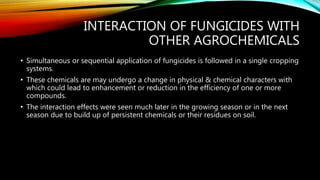INTERACTION OF FUNGICIDES WITH
OTHER AGROCHEMICALS
• Simultaneous or sequential application of fungicides is followed in a single cropping
systems.
• These chemicals are may undergo a change in physical & chemical characters with
which could lead to enhancement or reduction in the efficiency of one or more
compounds.
• The interaction effects were seen much later in the growing season or in the next
season due to build up of persistent chemicals or their residues on soil.
 