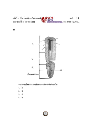 รหัสวิชา 72 ความถนัดทางวิทยาศาสตร หนา
วันอาทิตยที่ 8 มีนาคม 2552 เวลา 09.00 - 12.00 น.
15
32.
จากภาพ อโพพลาส และซิมพลาส เกิดมากที่บริเวณใด
1. A
2. B
3. C
4. D
 