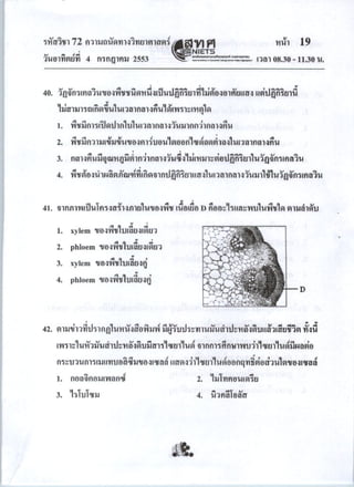 Pat2 กรกฎาคม 2553