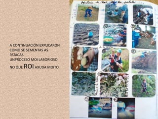 A CONTINUACIÓN EXPLICARON
COMO SE SEMENTAS AS
PATACAS.
UNPROCESO MOI LABORIOSO
NO QUE ROIAXUDA MOITO.
 